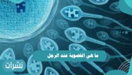 ما هي الخصوبة عند الرجل وطرق علاج ضعف معدلات الخصوبة