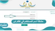 مشكلة اسم المستخدم في نظام نور وخطوات استرجاع البريد الالكتروني