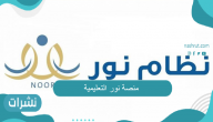 منصة نور التعليمية..تعرف على طريقة التسجيل