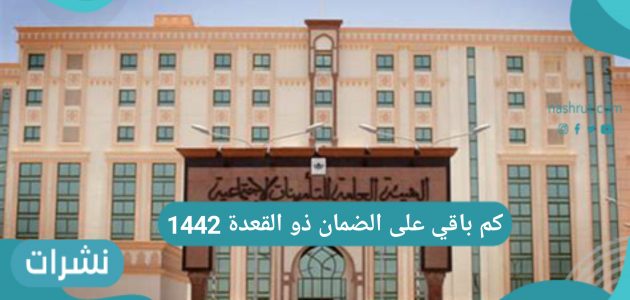 كم باقي على الضمان ذو القعدة 1442 عبر رابط وزارة المملكة السعودية