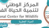 الحياة الفطرية في المملكة العربية السعودية تمنع اقتناء الحيوانات المفترسة