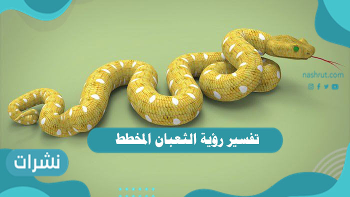 تفسير رؤية الثعبان المخطط