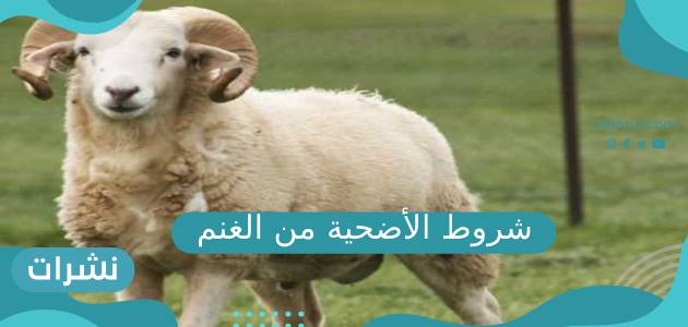 شروط الأضحية من الغنم