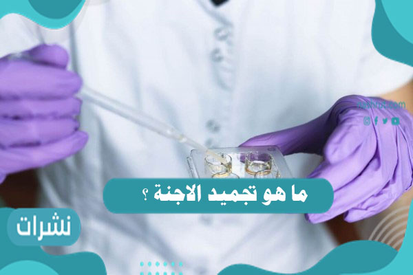 ما هو تجميد الاجنة ؟ وخطوات عملية تجميد الأجنة بالتفصيل