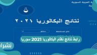 رابط نتائج نظام البكالوريا سوريا… أسماء أوائل البكالوريا 2021 بسوريا