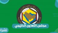 مجلس التعاون الخليجي: يحث على تنفيذ اتفاق الرياض للتسوية باليمن