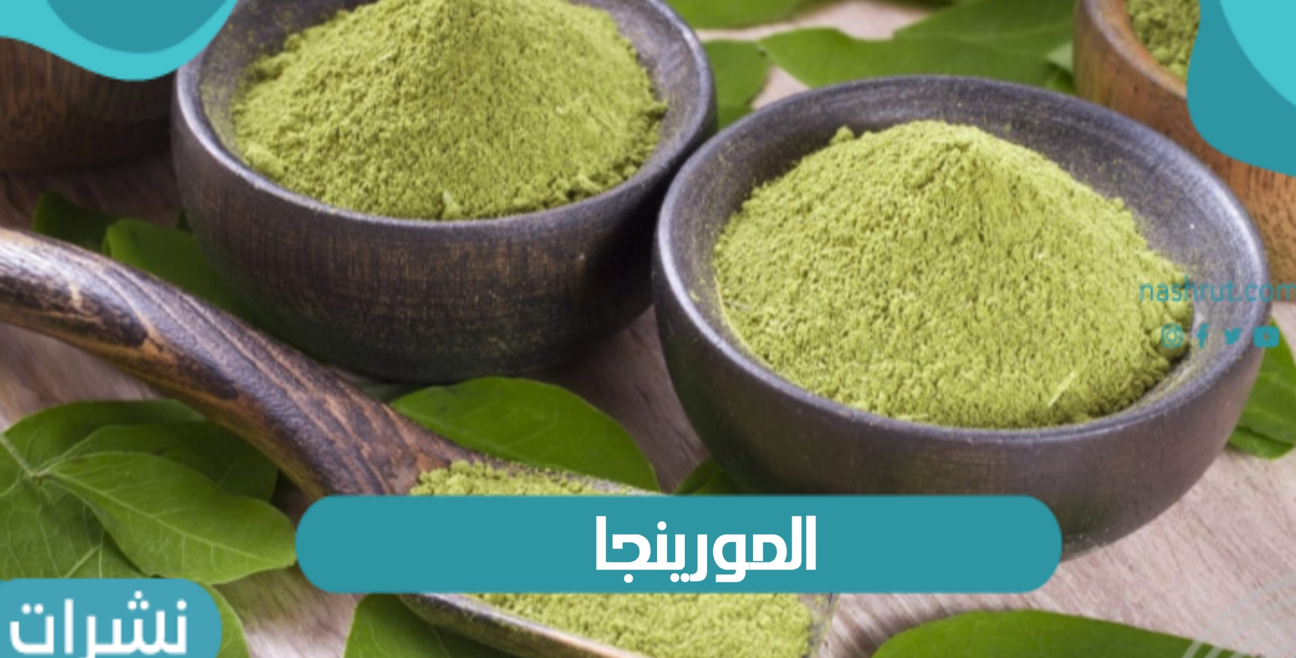 ما هي فوائد نبات المورينجا وكيفية إستخدامه