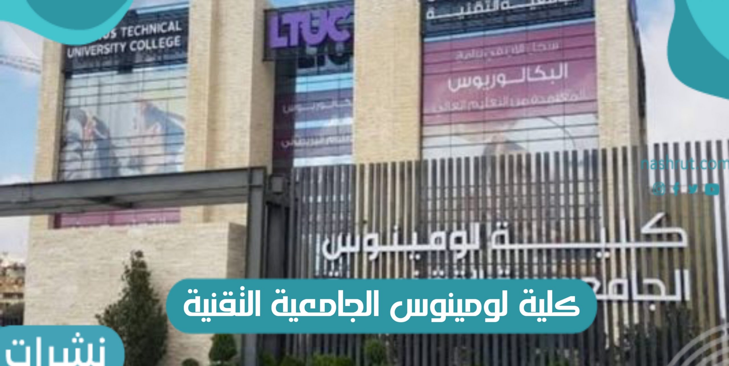 تخصصات كلية لومينوس الجامعية التقنية
