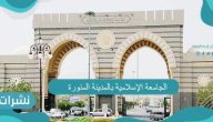 الجامعة الإسلامية بالمدينة المنورة.. شروط القبول بالجامعة الإسلامية.. نتائج الاختبارات