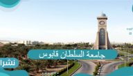جامعة السلطان قابوس التخصصات المطلوبة والشهادات المعتمدة والوظائف المتاحة