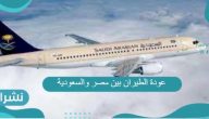 عودة الطيران بين مصر والسعودية