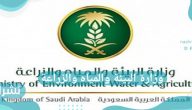 وزارة البيئة والمياه والزراعة تطلق خدمة العمالة المؤقتة