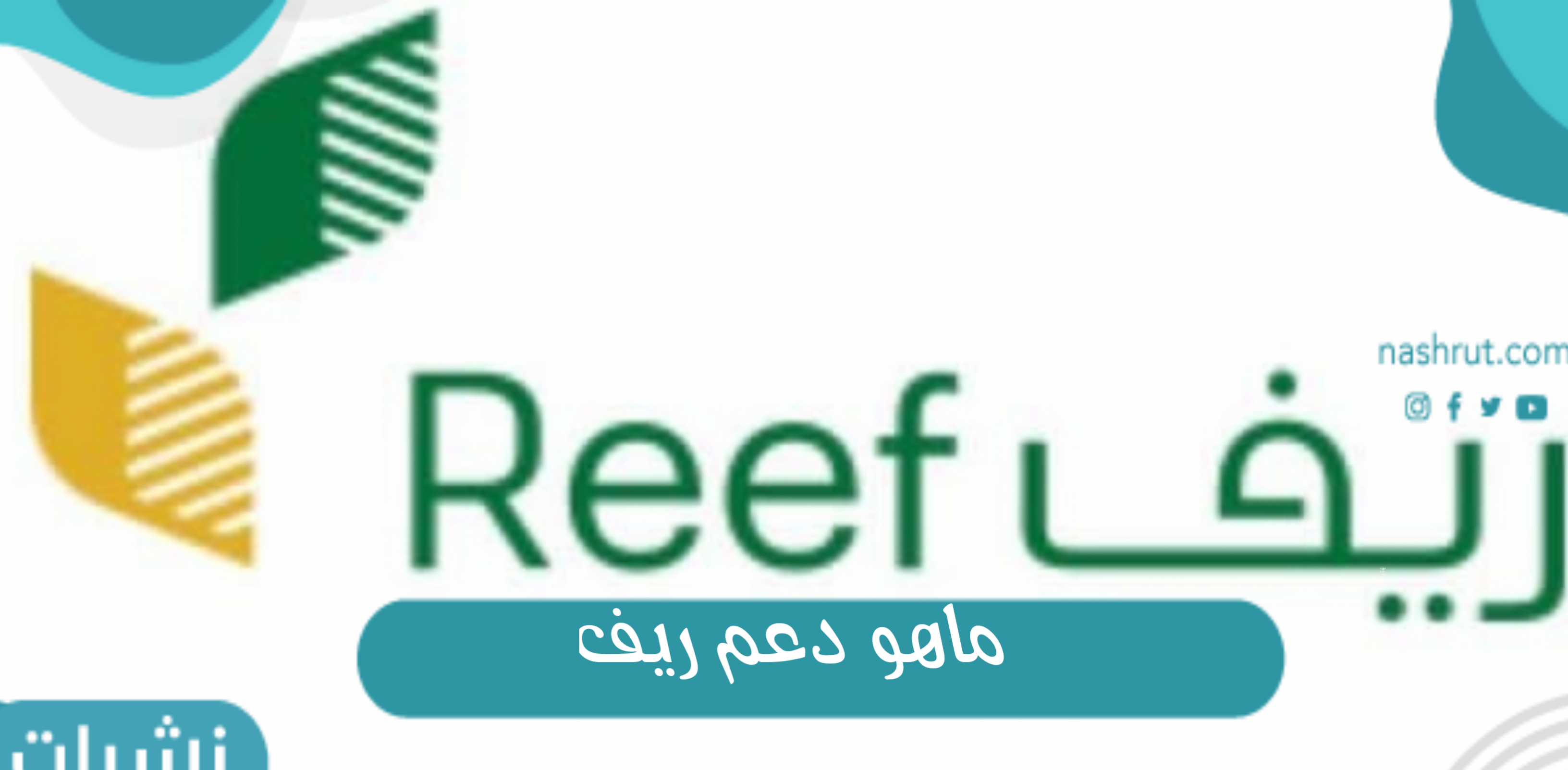 ماهو دعم ريف