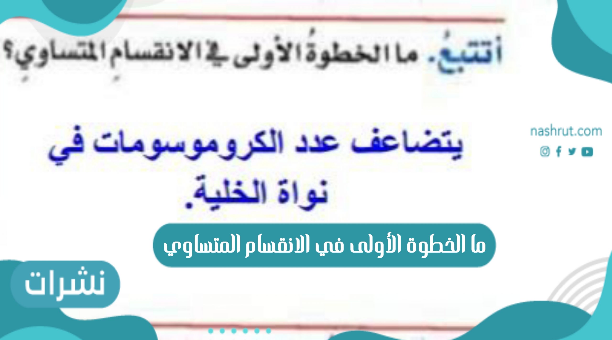 ما الخطوة الأولى في الانقسام المتساوي