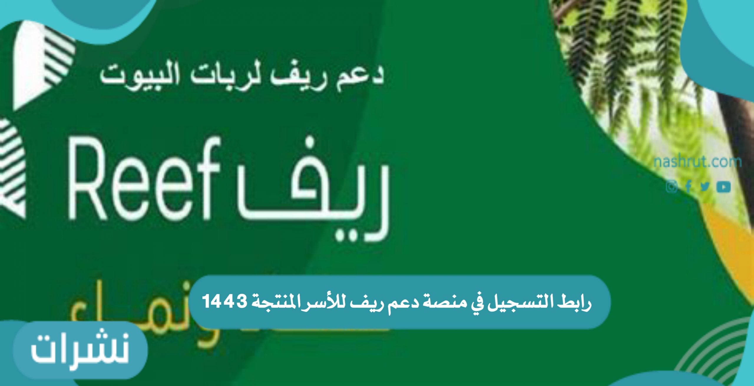 منصة دعم ريف