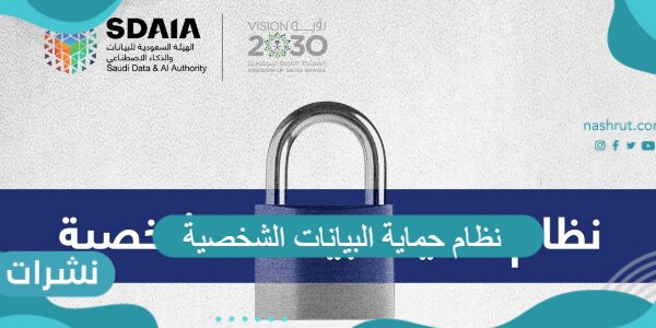 نظام حماية البيانات الشخصية
