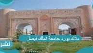 بلاك بورد جامعة الملك فيصل تسجيل دخول 1443