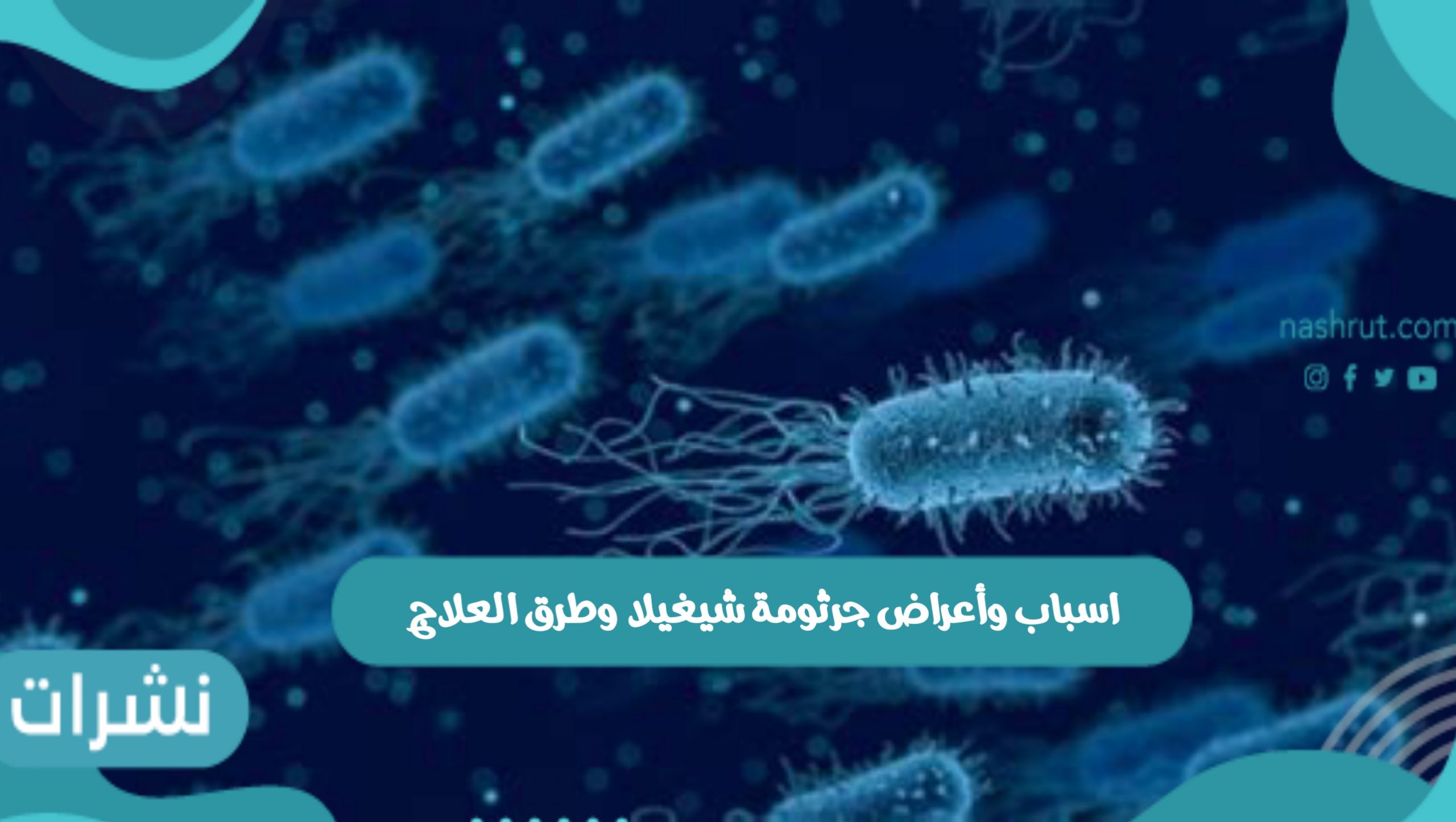 اسباب و أعراض جرثومة شيغيلا وطرق العلاج