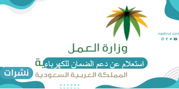 استعلام عن دعم الضمان للكهرباء والجمعيات المساهمة في الدعم