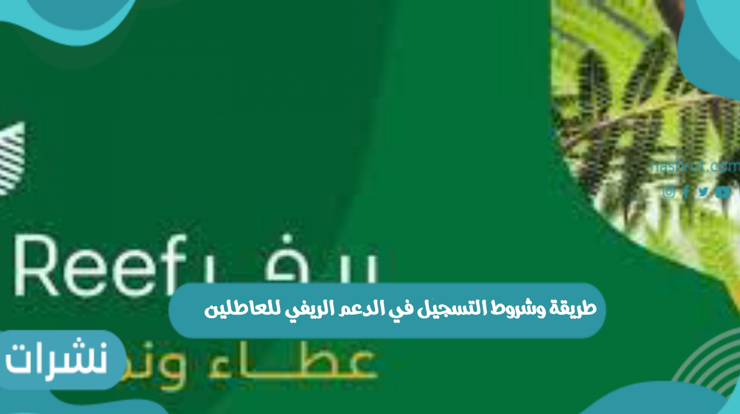 طريقة وشروط التسجيل في الدعم الريفي للعاطلين