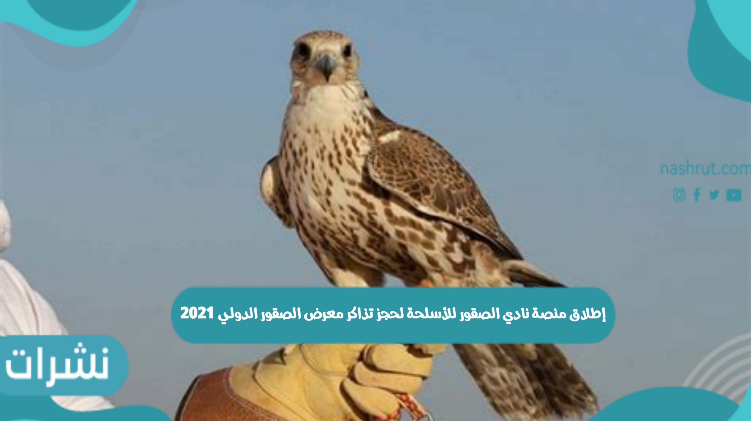 نادي الصقور للأسلحة