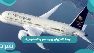 آخر القرارات الخاصة بـ عودة الطيران بين مصر والسعودية