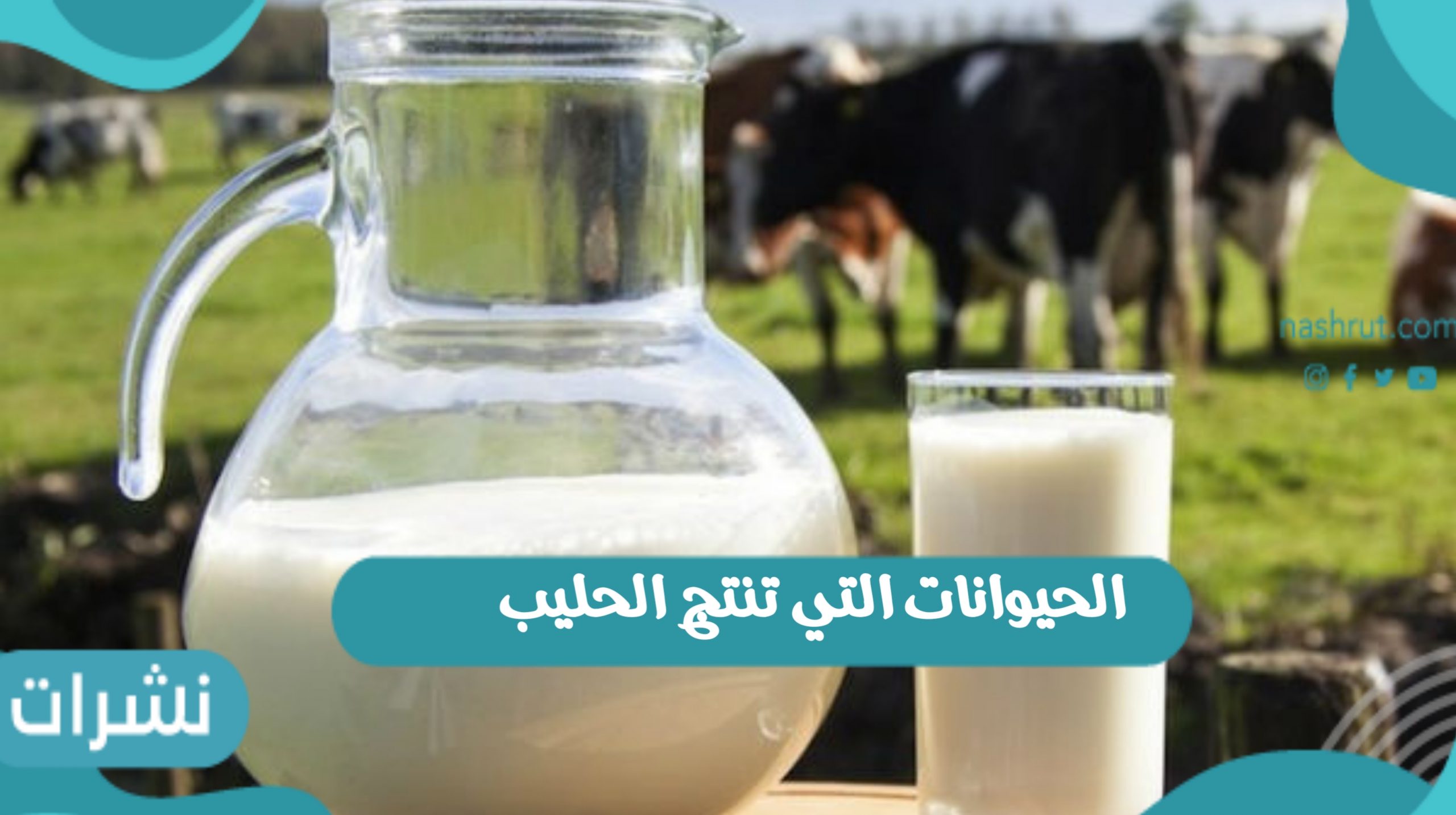 الحيوانات التي تنتج الحليب وتسمي الثديات