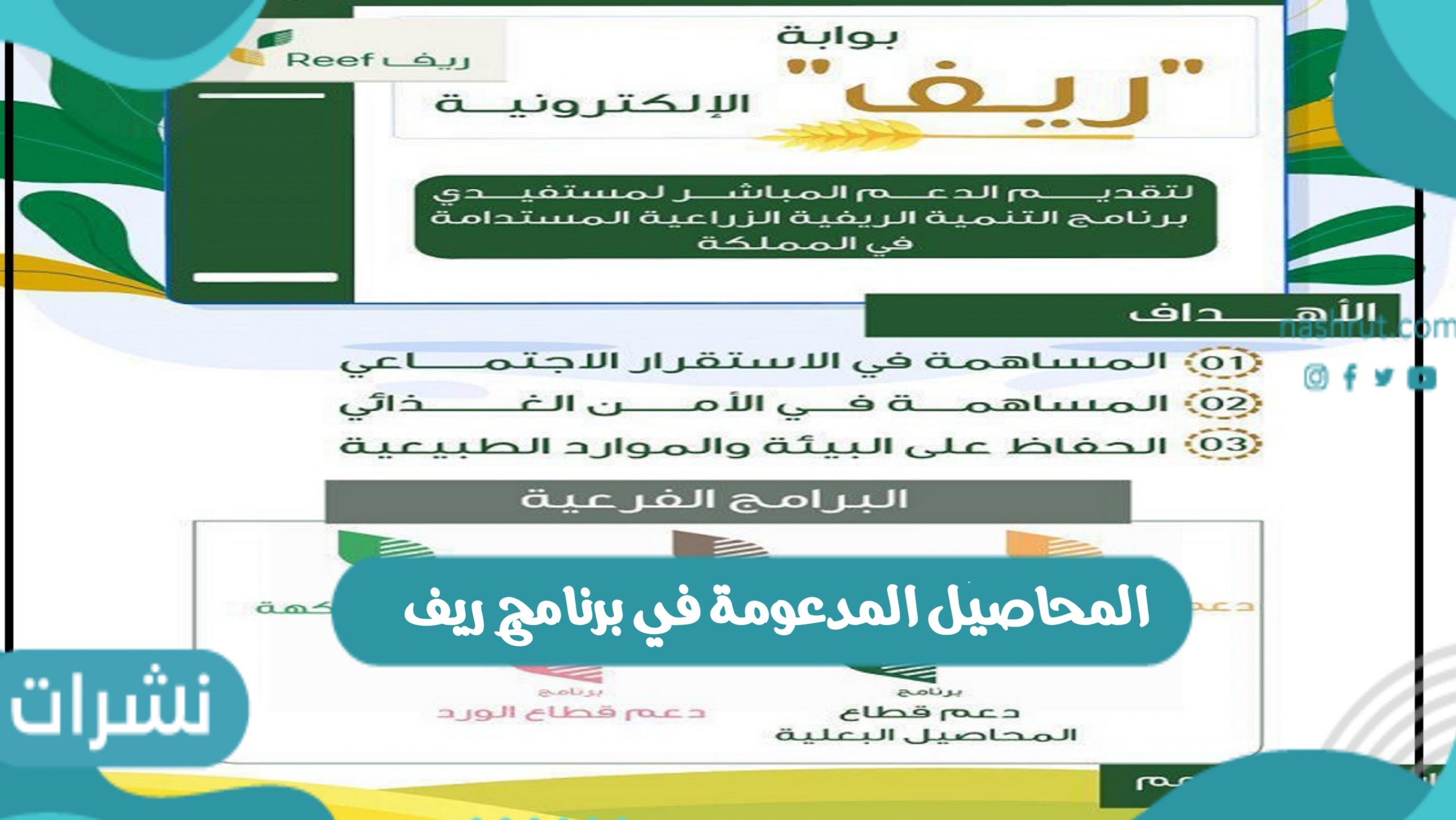 المحاصيل المدعومة في برنامج ريف
