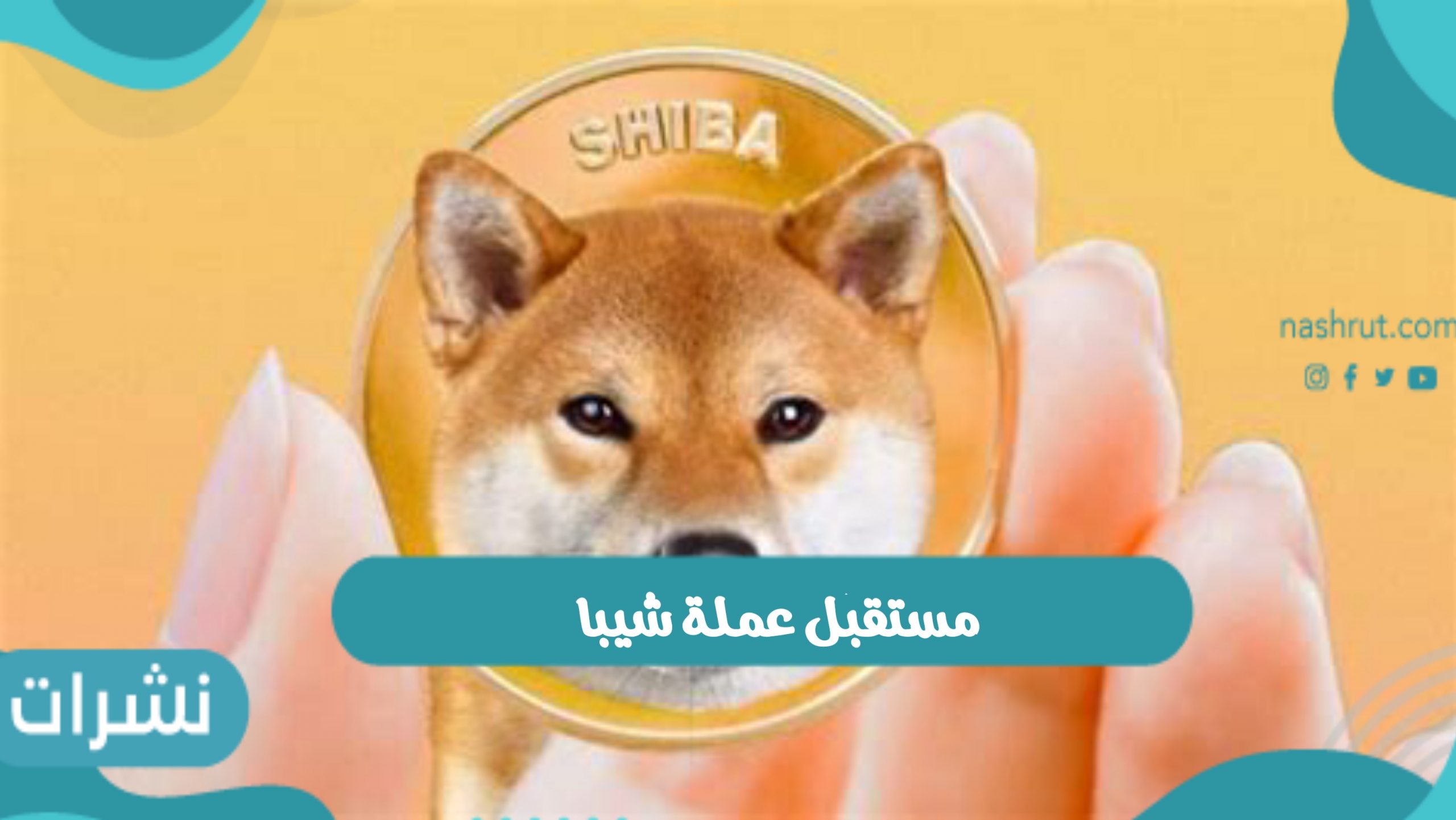 مستقبل عملة شيبا العملات الرقمية المشفرة