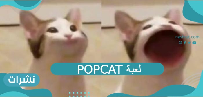 POPCAT لعبة