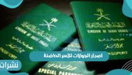 اصدار الجوازات للأسر الحاضنة عبر بوابة أبشر