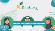 رابط الدخول لبرنامج ريف وخطوات التسجيل في البرنامج وشروط التسجيل