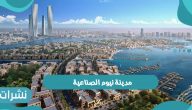 تفاصيل عن إنشاء مدينة نيوم الصناعية اوكساجون