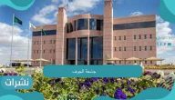 جامعة الجوف الدراسات العليا..خطوات التقديم وآخر موعد للالتحاق