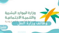 وظائف وزارة النقل… موعد وطريقة التقديم وأهم الشروط