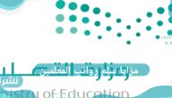 مزايا سلم رواتب المعلمين والعلاوات السنوية للمعلمين في المملكة العربية السعودية