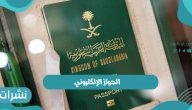 الجواز الإلكتروني وكيفية الحصول على الجواز الإلكتروني