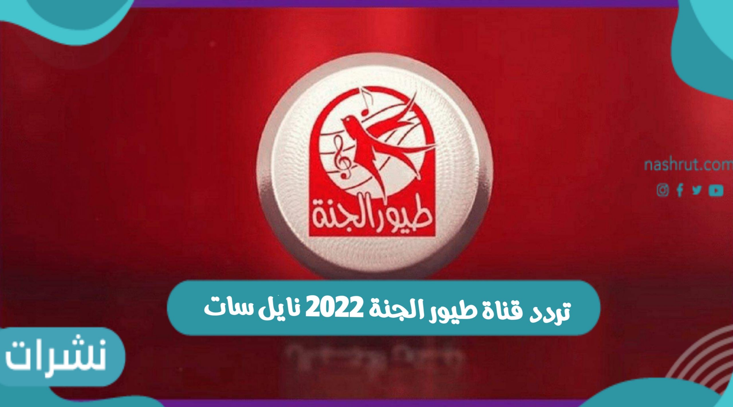 تردد قناة طيور الجنة 2022 نايل سات
