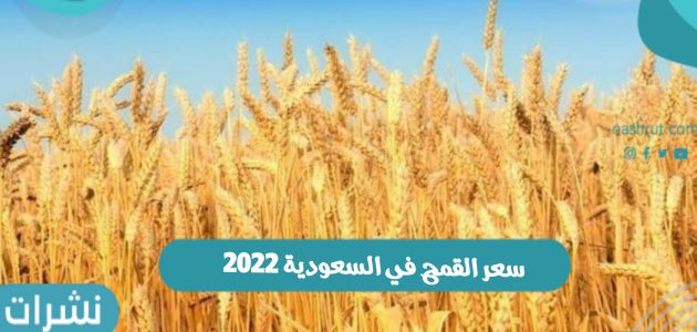 سعر القمح في السعودية 2022