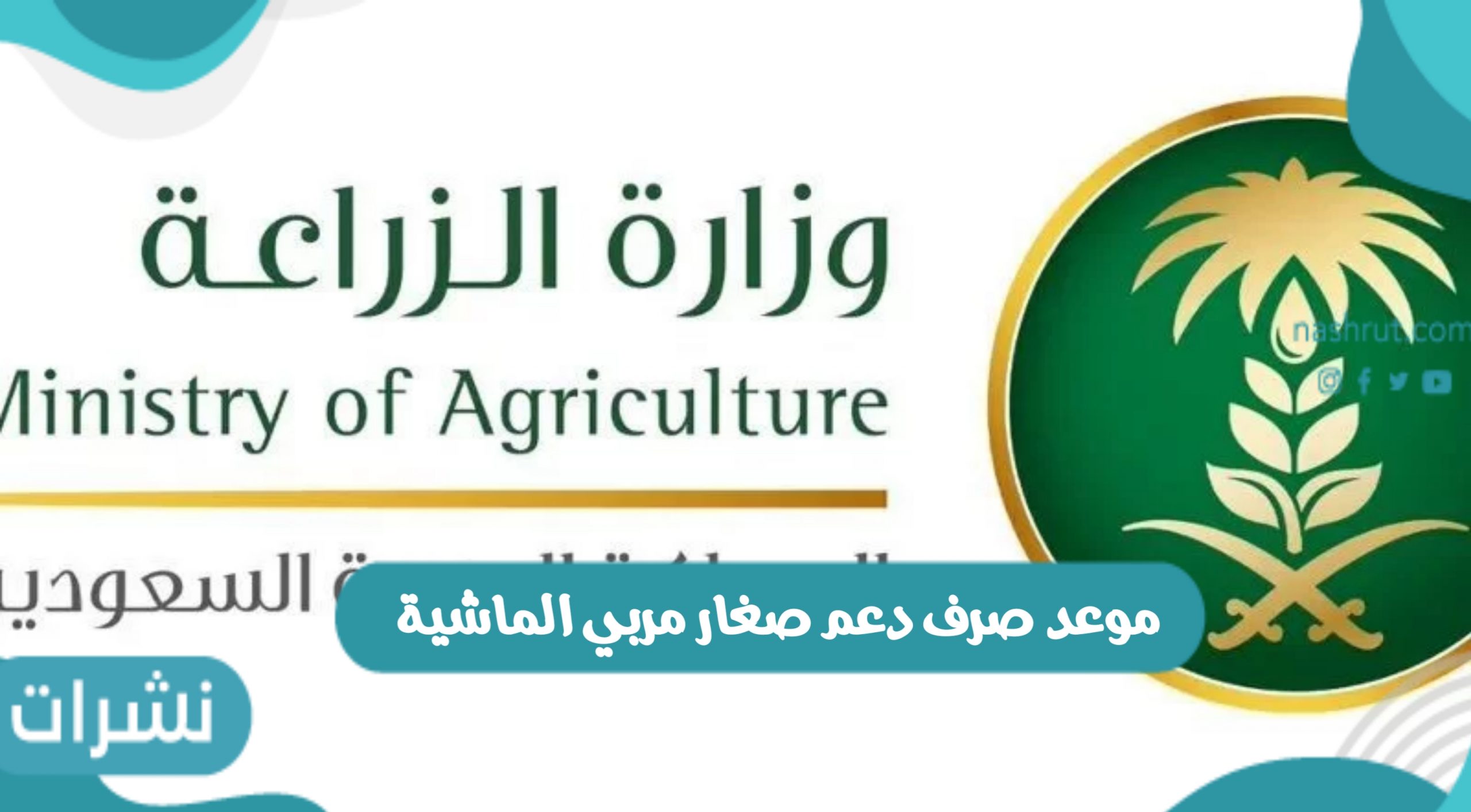 موعد صرف دعم صغار مربي الماشية والشروط المطلوبة