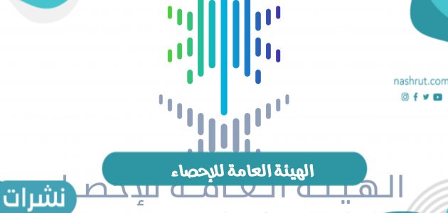 خدمات الهيئة العامة للإحصاء بالمملكة العربية السعودية
