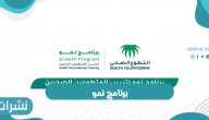 برنامج نمو سيا بارتنرز شركة استشارات إدارية بالمملكة السعودية