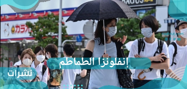 إنفلونزا الطماطم.. ما هي انفلونزا الطماطم وهل هي خطيرة ؟