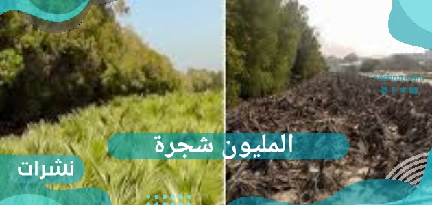 المليون شجرة