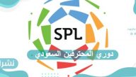 دوري المحترفين السعودي