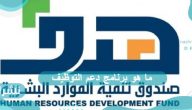 ما هو برنامج دعم التوظيف