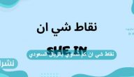 نقاط شي ان كم تساوي بالريال السعودي