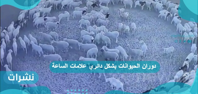 دوران الحيوانات بشكل دائري علامات الساعة