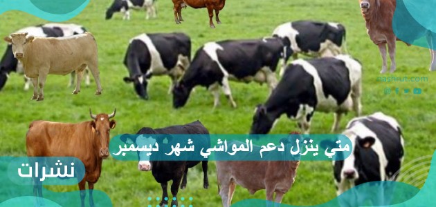 متي ينزل دعم المواشي شهر ديسمبر