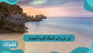 أبرز جزيرة في المملكة العربية السعودية هي